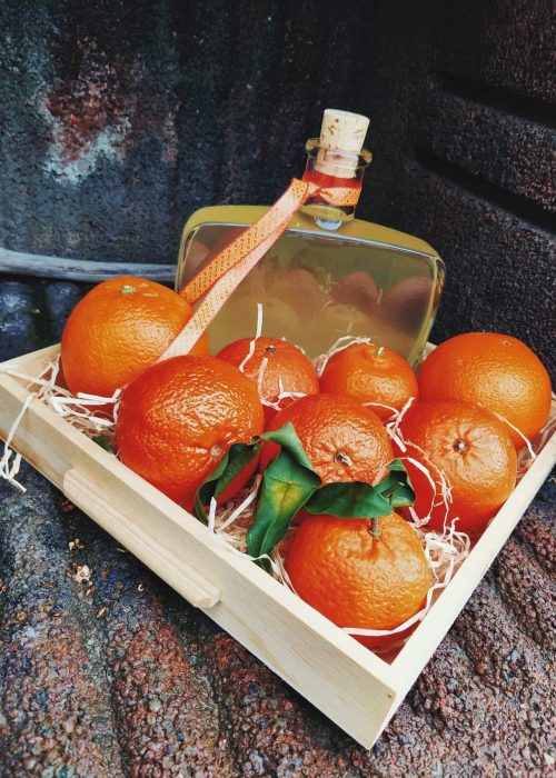 139822410_1744099032441832_6373252586368217384_n