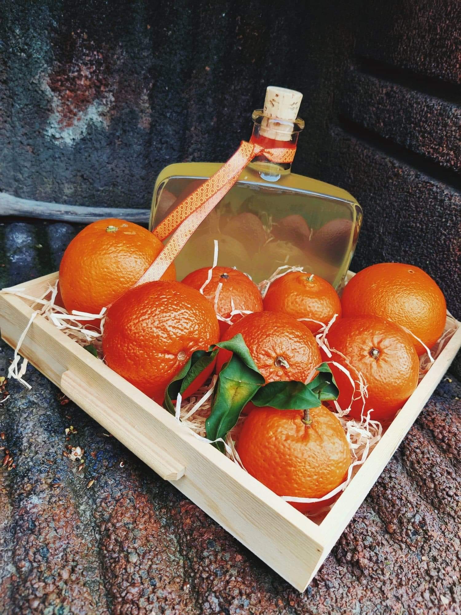 139822410_1744099032441832_6373252586368217384_n